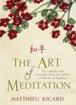 Art Of Meditation - sebo online