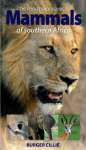 Pocket Photoguide to Mammals of Southern Africa - sebo online