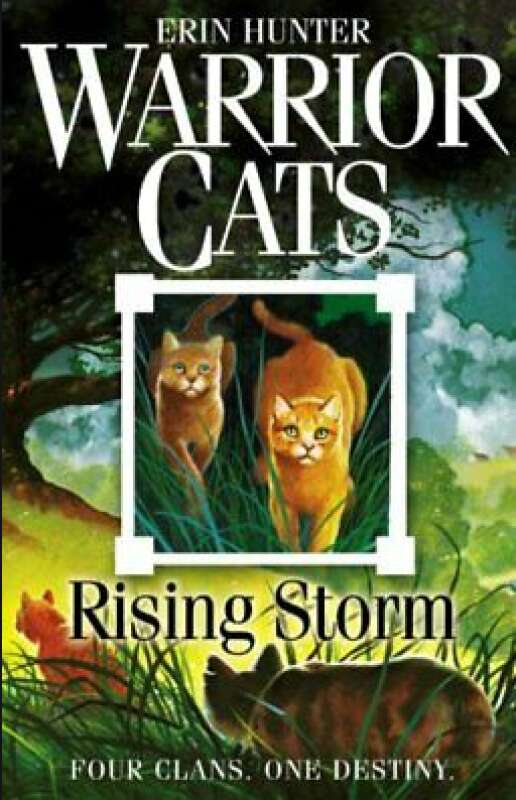 Livro: A Dangerous Path (Warrior Cats, Book 5) - Erin Hunter - Sebo Online  Container Cultura