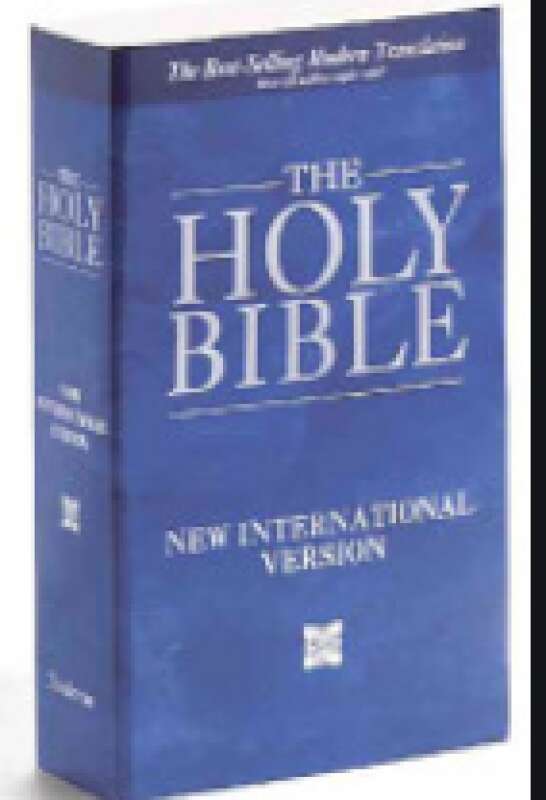 Livro: The Holy Bible: New International Version - Zondervan Publishing ...