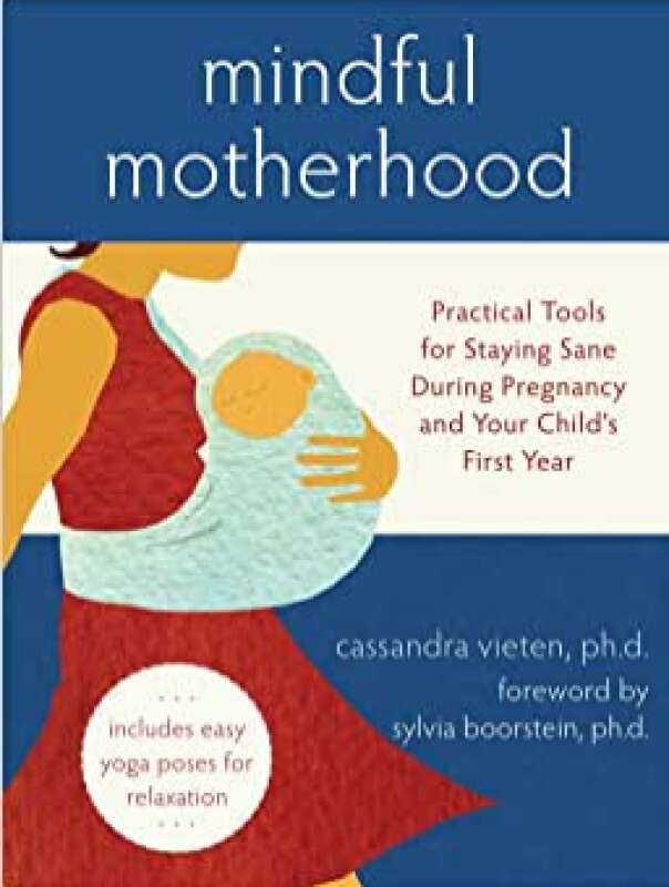 Livro: Mindful Motherhood: Practical Tools For Staying Sane During ...