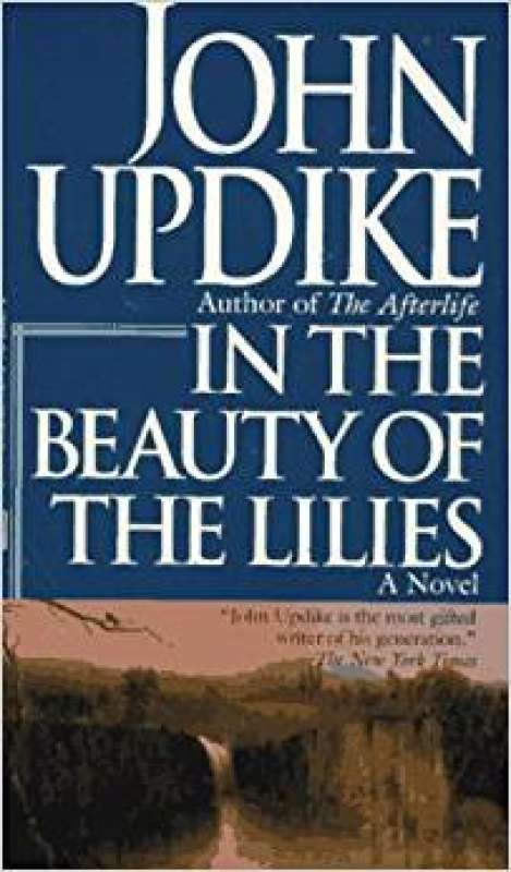 john updike book reviews in the beauty of the lilies