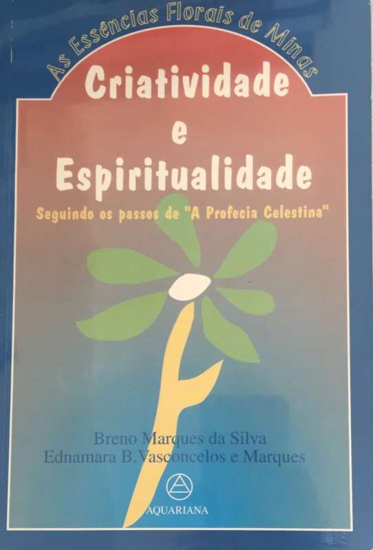 Livro: Criatividade E Espiritualidade - Breno Marques Silva - Sebo